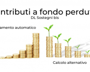 contributi fondo perduto