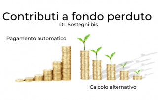 contributi fondo perduto